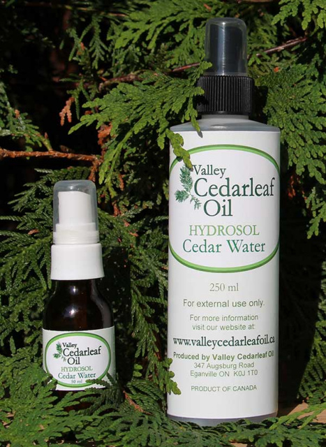 Hydrosol Cedar Water